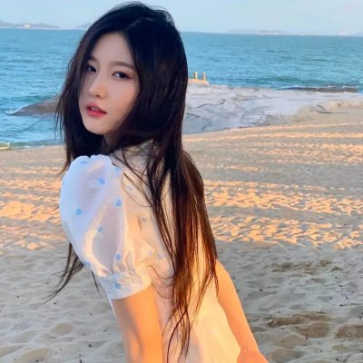 大清后宫